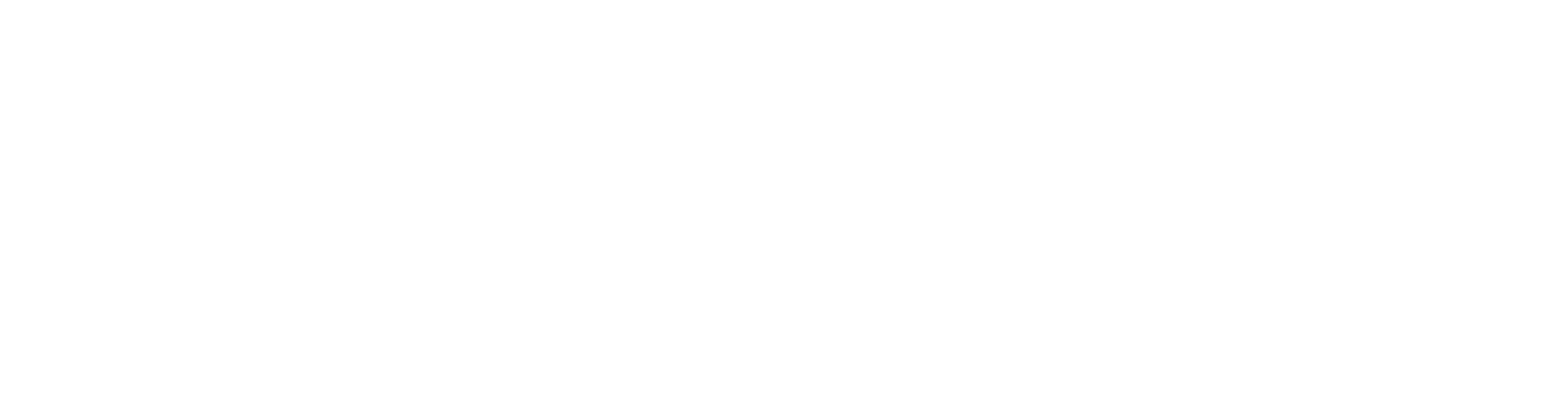 Revolution Theatre Company